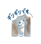 猫好き大人女子のためのスタンプ（個別スタンプ：23）