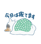 猫好き大人女子のためのスタンプ（個別スタンプ：32）