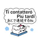 パンダとねこ イタリア語 ver2（個別スタンプ：23）