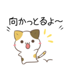 岐阜弁＆飛騨弁のみけねことうさぎ（個別スタンプ：9）