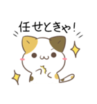 岐阜弁＆飛騨弁のみけねことうさぎ（個別スタンプ：17）