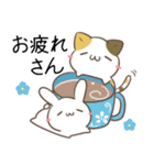 岐阜弁＆飛騨弁のみけねことうさぎ（個別スタンプ：24）