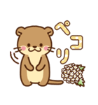 コツメカワウソ♡毎日花と気持ち（個別スタンプ：12）