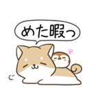 長野弁のしばいぬとすずめ（個別スタンプ：15）