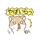 長野弁のしばいぬとすずめ（個別スタンプ：17）
