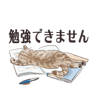 猫のせいにしたいときに使うスタンプ（個別スタンプ：2）