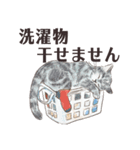 猫のせいにしたいときに使うスタンプ（個別スタンプ：6）