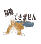 猫のせいにしたいときに使うスタンプ（個別スタンプ：8）