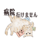 猫のせいにしたいときに使うスタンプ（個別スタンプ：10）