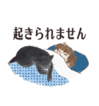 猫のせいにしたいときに使うスタンプ（個別スタンプ：12）