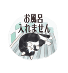 猫のせいにしたいときに使うスタンプ（個別スタンプ：13）