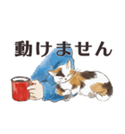 猫のせいにしたいときに使うスタンプ（個別スタンプ：15）