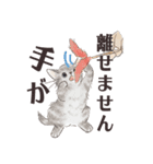 猫のせいにしたいときに使うスタンプ（個別スタンプ：17）