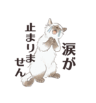 猫のせいにしたいときに使うスタンプ（個別スタンプ：19）