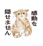 猫のせいにしたいときに使うスタンプ（個別スタンプ：20）