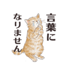 猫のせいにしたいときに使うスタンプ（個別スタンプ：21）