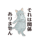 猫のせいにしたいときに使うスタンプ（個別スタンプ：22）