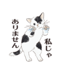 猫のせいにしたいときに使うスタンプ（個別スタンプ：23）