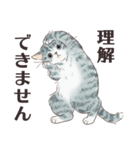 猫のせいにしたいときに使うスタンプ（個別スタンプ：28）