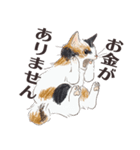 猫のせいにしたいときに使うスタンプ（個別スタンプ：31）