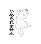 猫のせいにしたいときに使うスタンプ（個別スタンプ：33）