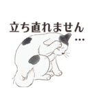 猫のせいにしたいときに使うスタンプ（個別スタンプ：34）