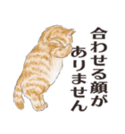 猫のせいにしたいときに使うスタンプ（個別スタンプ：35）
