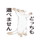 猫のせいにしたいときに使うスタンプ（個別スタンプ：36）