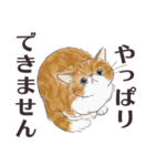 猫のせいにしたいときに使うスタンプ（個別スタンプ：37）