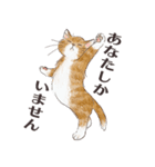 猫のせいにしたいときに使うスタンプ（個別スタンプ：38）