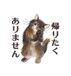 猫のせいにしたいときに使うスタンプ（個別スタンプ：39）
