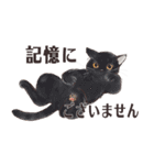 猫のせいにしたいときに使うスタンプ（個別スタンプ：40）