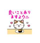 毎日使えるダジャレネコ★（個別スタンプ：12）