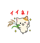 毎日使えるダジャレネコ★（個別スタンプ：13）