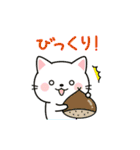 毎日使えるダジャレネコ★（個別スタンプ：16）