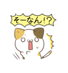 広島弁のみけねこ（個別スタンプ：6）