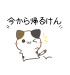 広島弁のみけねこ（個別スタンプ：17）