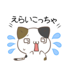 広島弁のみけねこ（個別スタンプ：20）