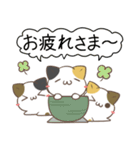 広島弁のみけねこ（個別スタンプ：22）