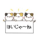 広島弁のみけねこ（個別スタンプ：24）