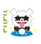いらすとや×ポケモン ぴかぴかスタンプ（個別スタンプ：34）