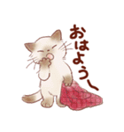 猫好き大人女子のためのスタンプ 冬（個別スタンプ：1）