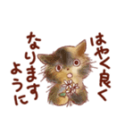 猫好き大人女子のためのスタンプ 冬（個別スタンプ：31）