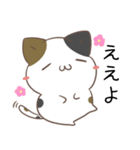広島弁のみけねこ2（個別スタンプ：1）