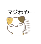 広島弁のみけねこ2（個別スタンプ：5）