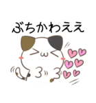 広島弁のみけねこ2（個別スタンプ：10）