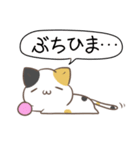 広島弁のみけねこ2（個別スタンプ：12）