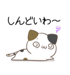 広島弁のみけねこ2（個別スタンプ：13）