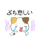 広島弁のみけねこ2（個別スタンプ：14）