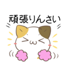 広島弁のみけねこ2（個別スタンプ：20）